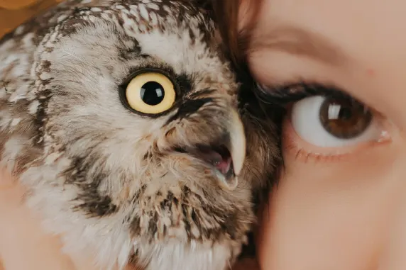 וגאסוויילד קזינו תמיכה